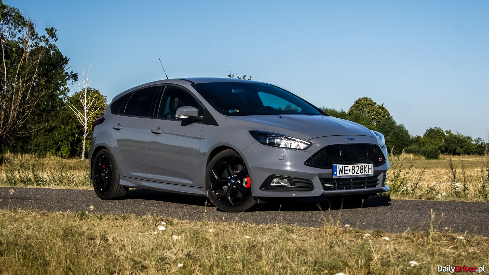 Focused отзывы. Ford Focus дизель. Форд фокус 3 дизель. St Форд фокус 3 серый. Форд фокус 3 RS серый.