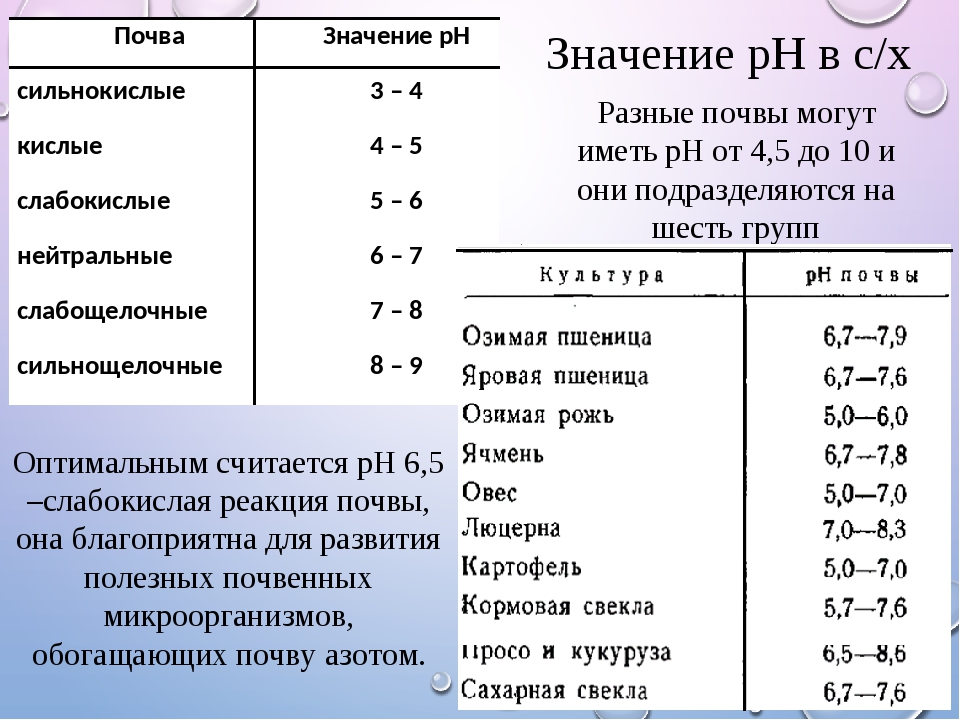 Оптимальное значение рн мыла. Почвы слабокислые слабощелочные. Слабокислая реакция почвы. Сильнокислые почвы. Слабокислый грунт PH.